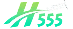 H555 Logo